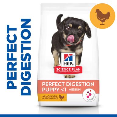 Hill's Puppy Medium Science Plan Perfect Digestion Frango ração